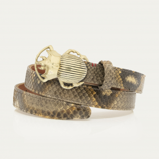 Desert Python Golden Beetle Baby Belt