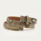 Desert Python Golden Snake Baby Belt