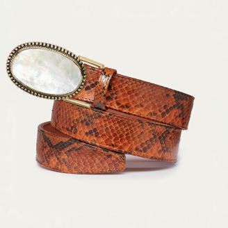 Moka Python Gold Shell Dallas Buckle Belt